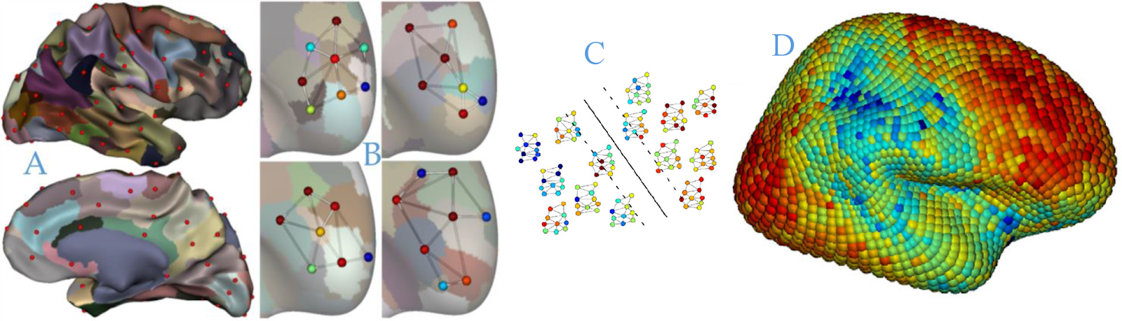 Brain Graphs